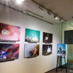 ウミウシ写真展