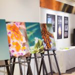 ウミウシ写真展