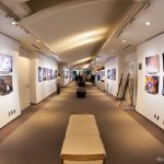 ウミウシ写真展