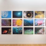 福岡水中写真展