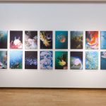 福岡水中写真展