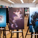福岡水中写真展