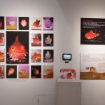 福岡水中写真展