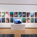 福岡水中写真展