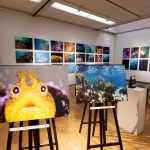 福岡水中写真展