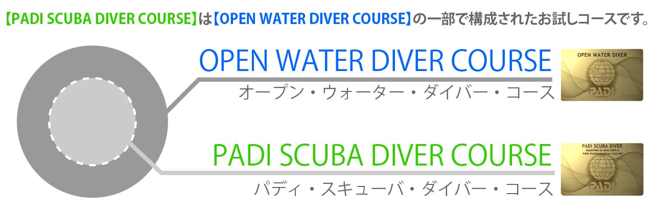 OWDとSDコースの違い