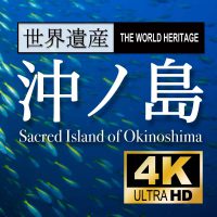 福岡【沖ノ島】ダイビング動画