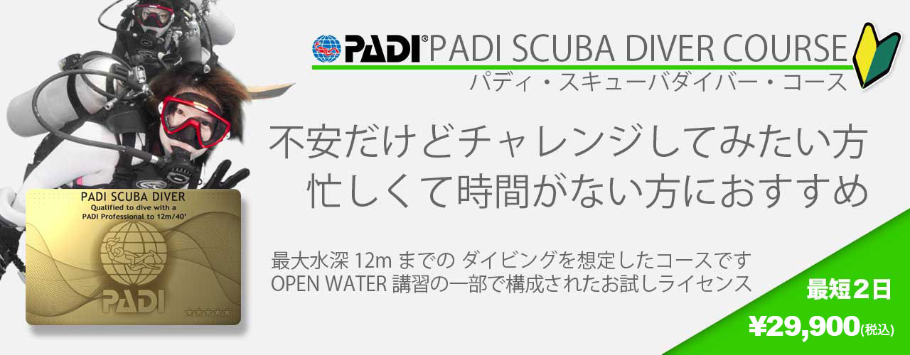 ダイビングライセンス/スキューバダイバーコース/福岡の海で開催可能