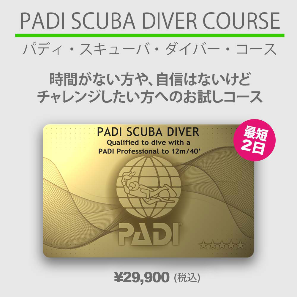 padi スクーバダイバーコース