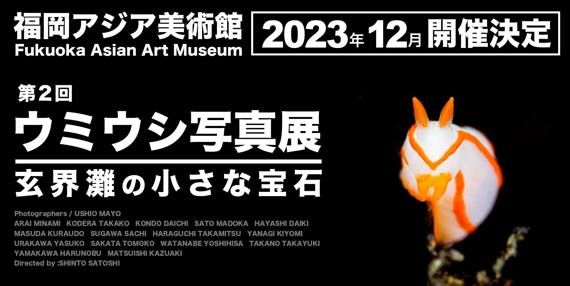 ウミウシ写真展