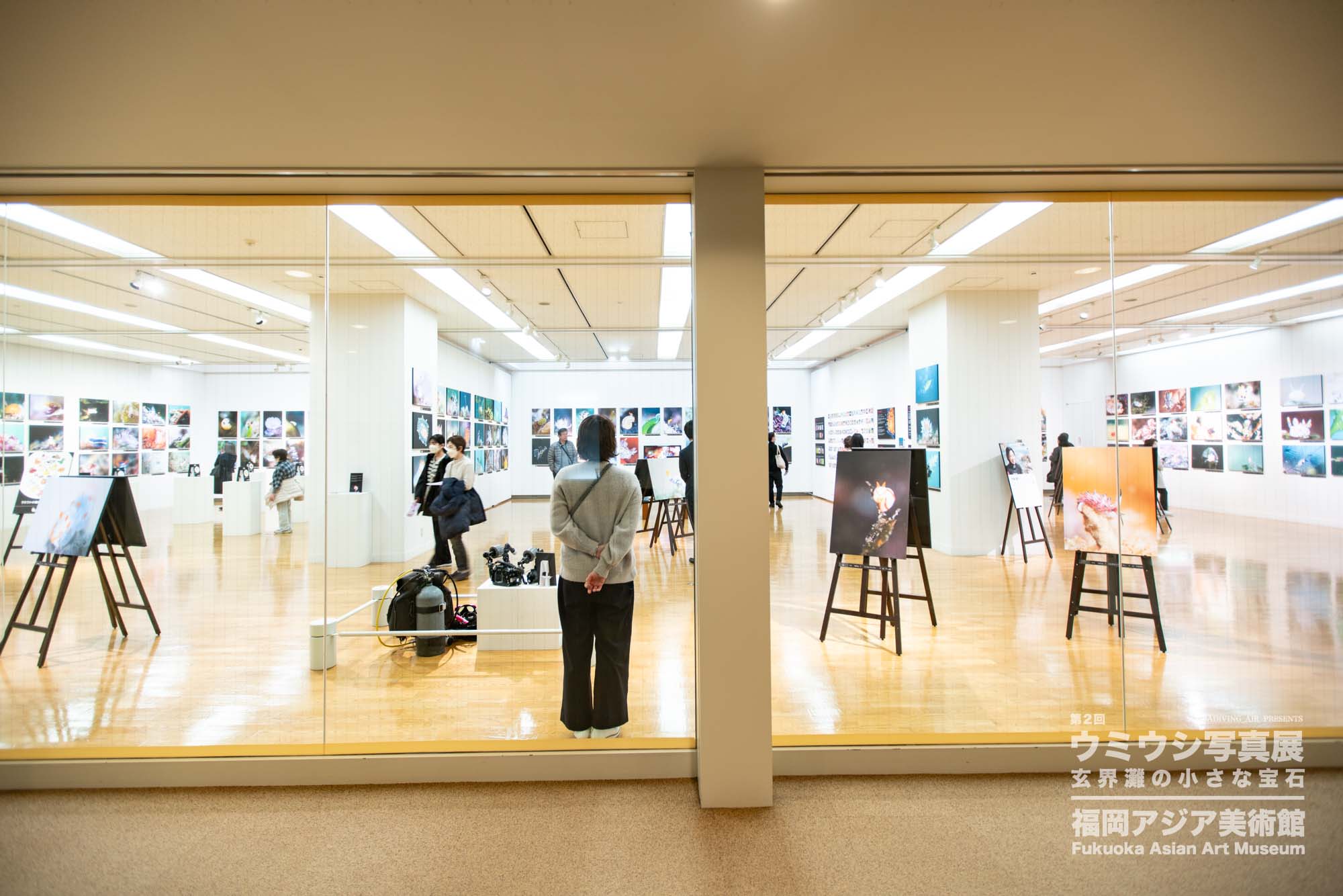 ウミウシ写真展