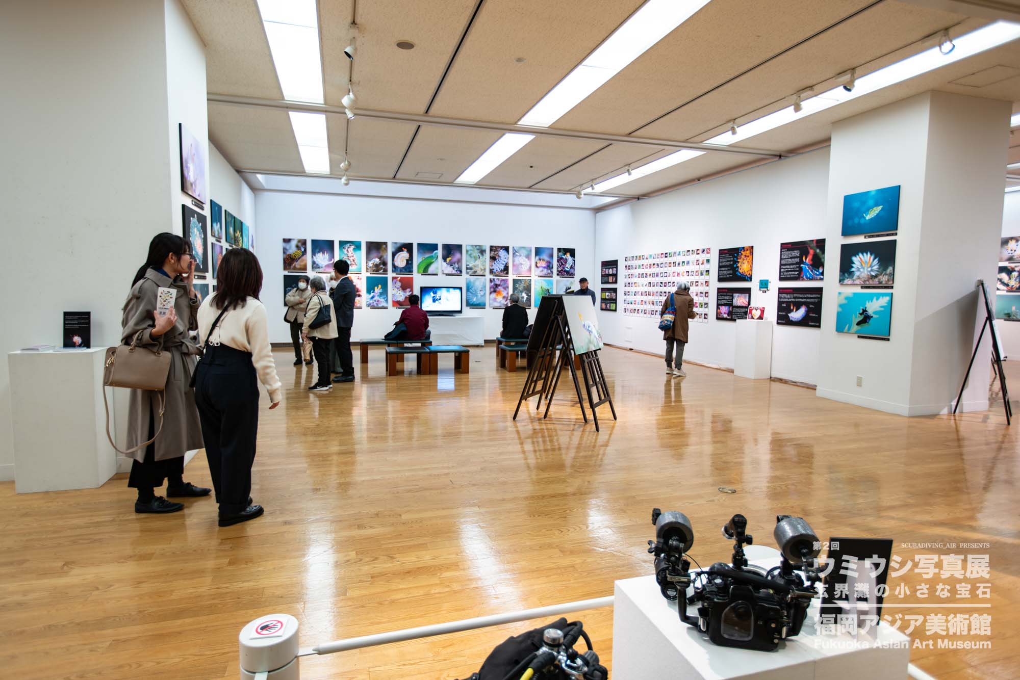 ウミウシ写真展