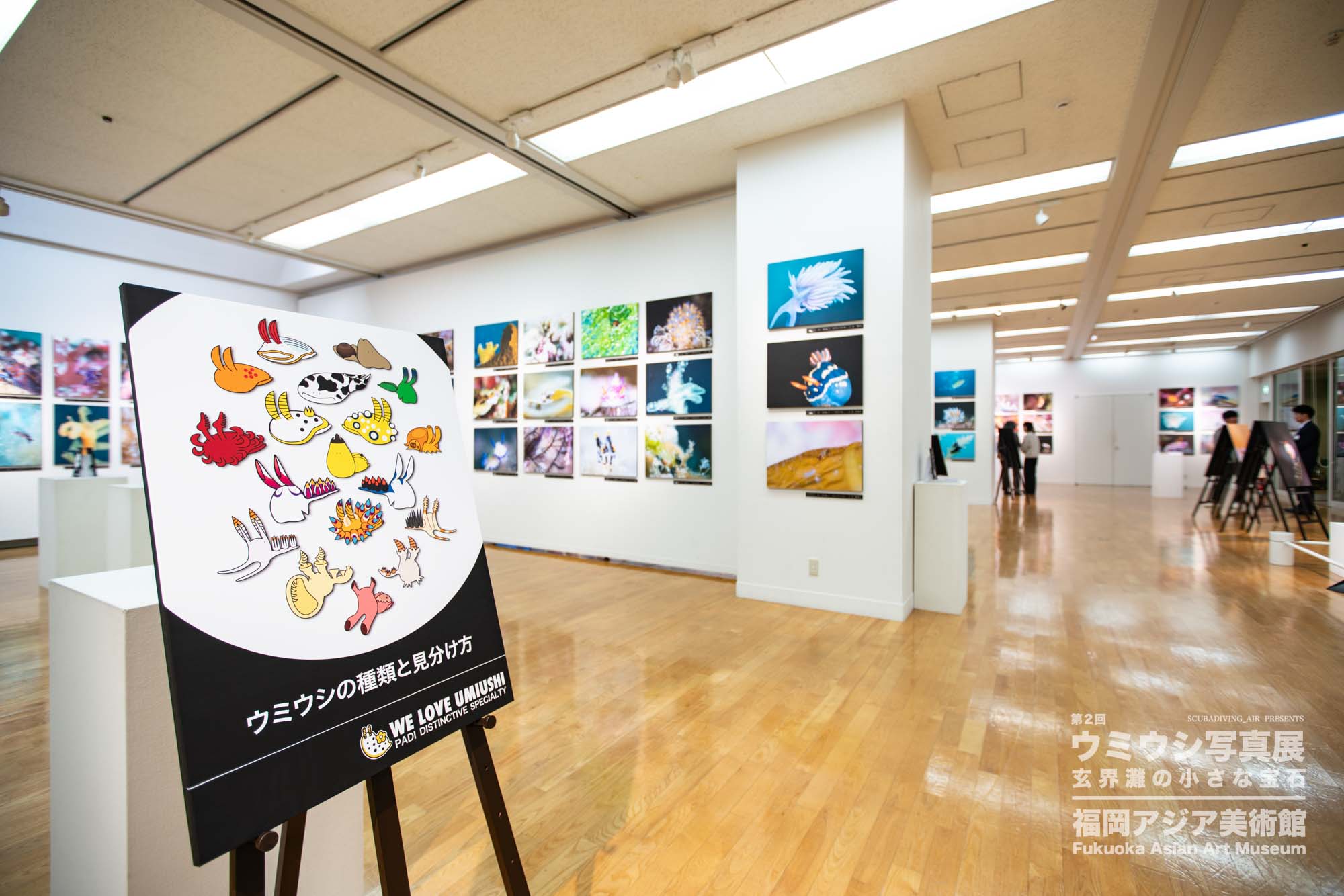 ウミウシ写真展