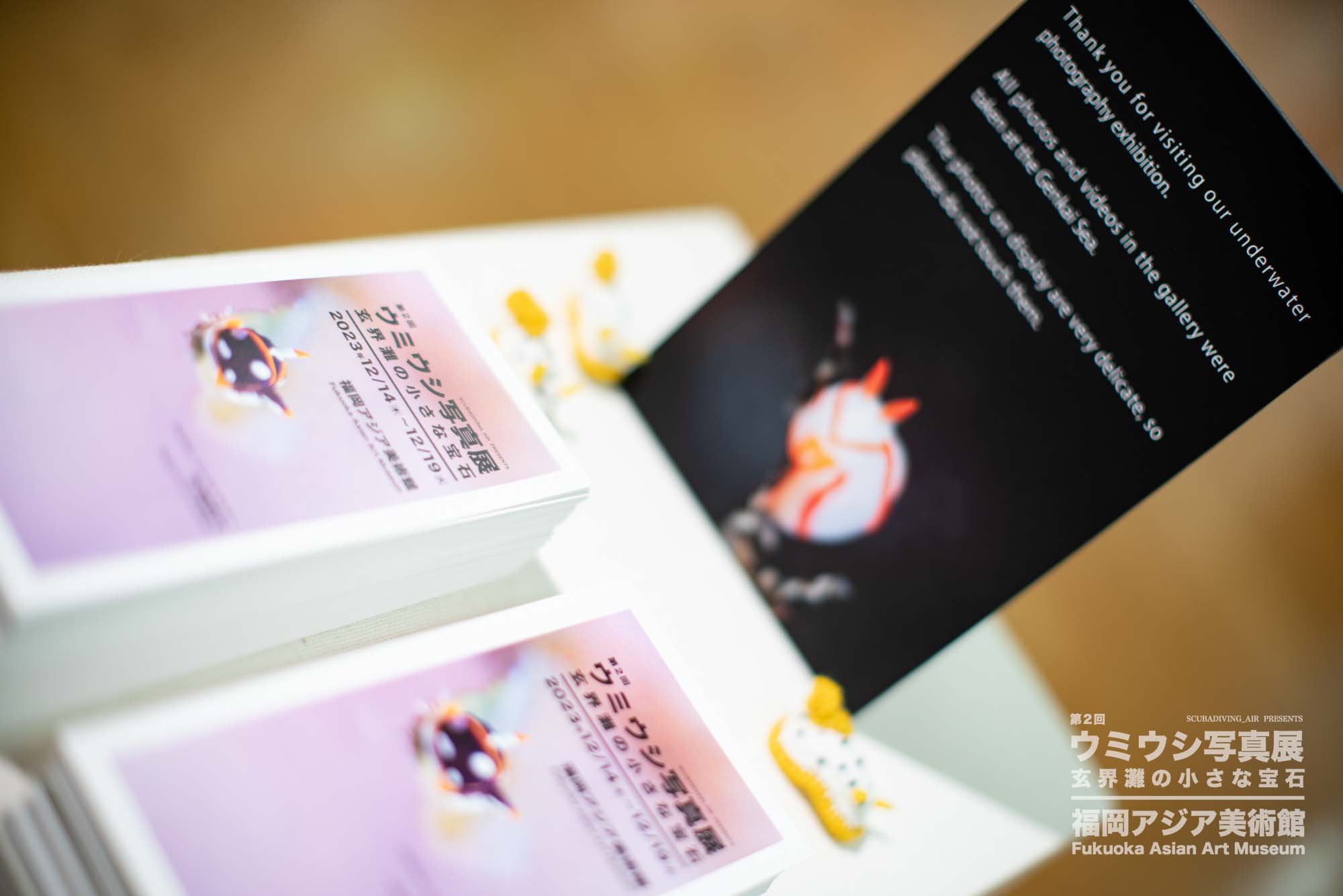 ウミウシ写真展