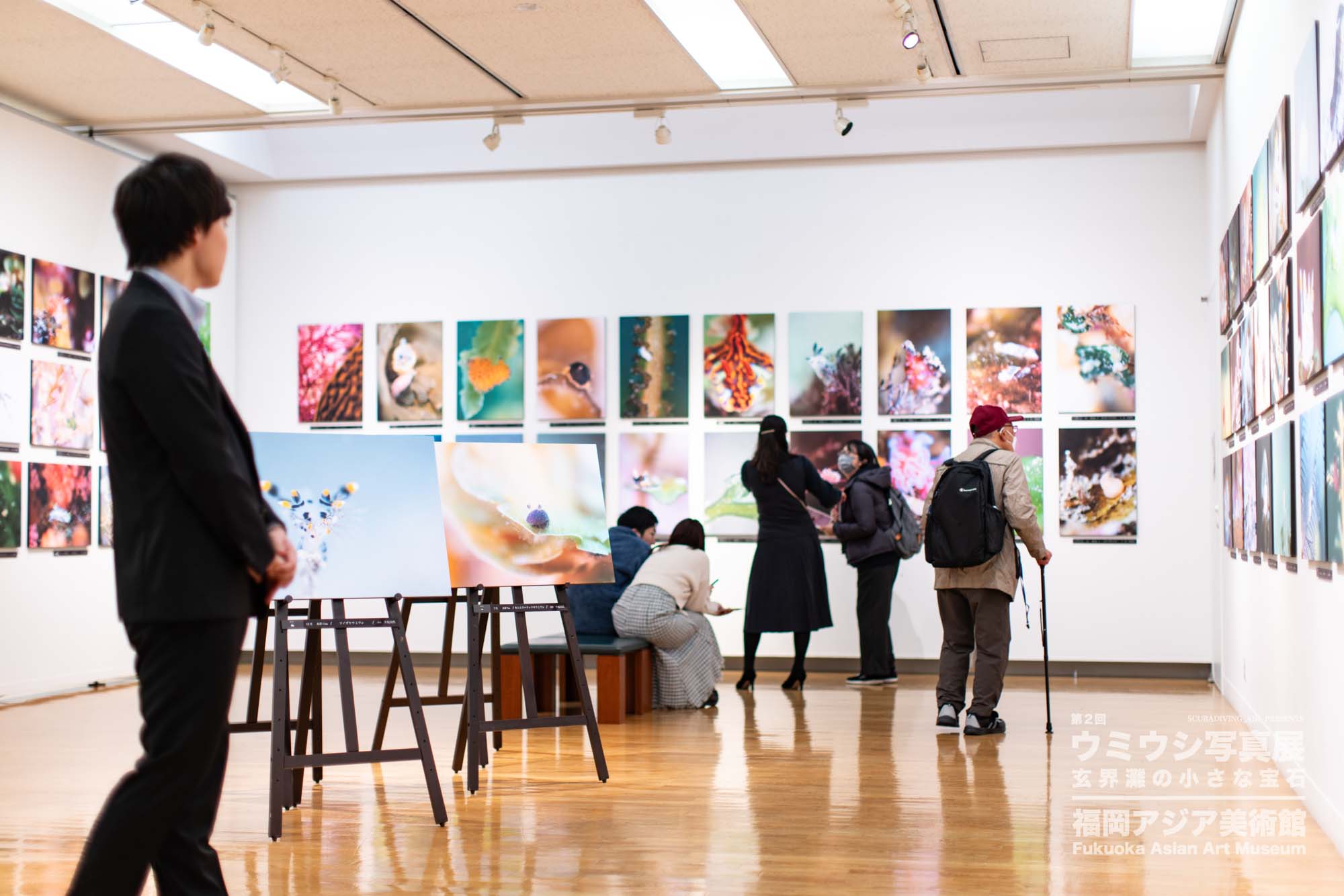 ウミウシ写真展