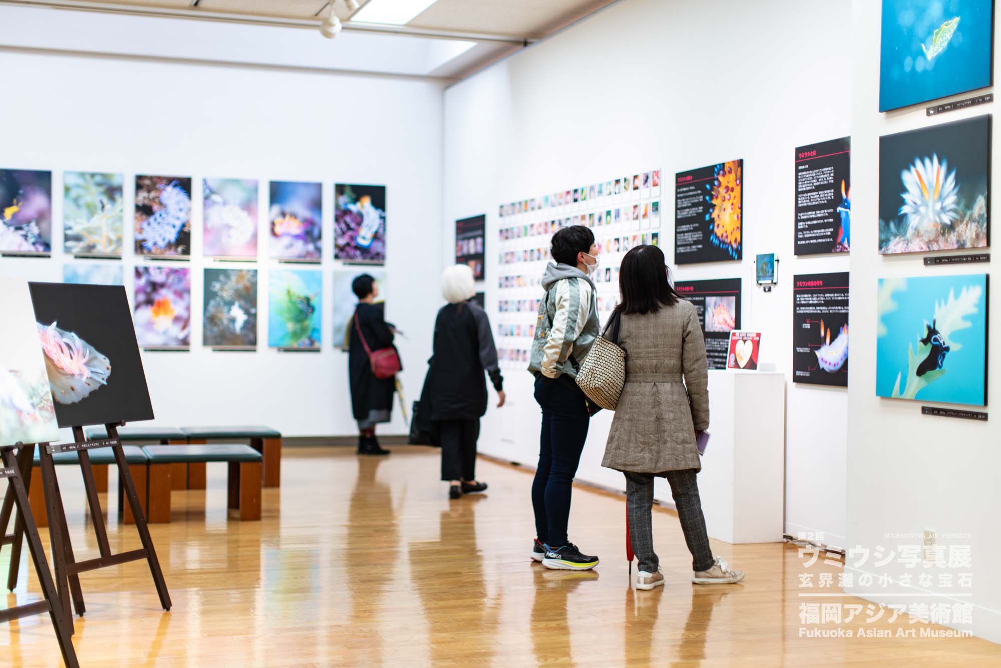 ウミウシ写真展