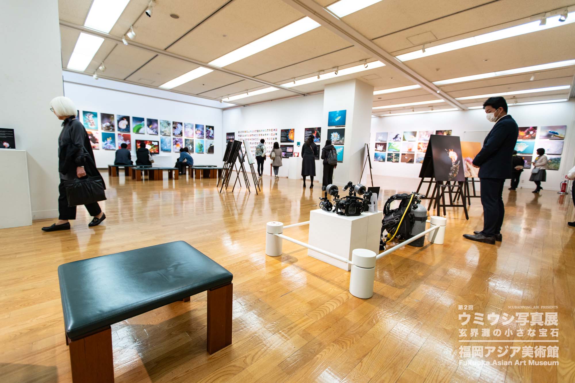 ウミウシ写真展
