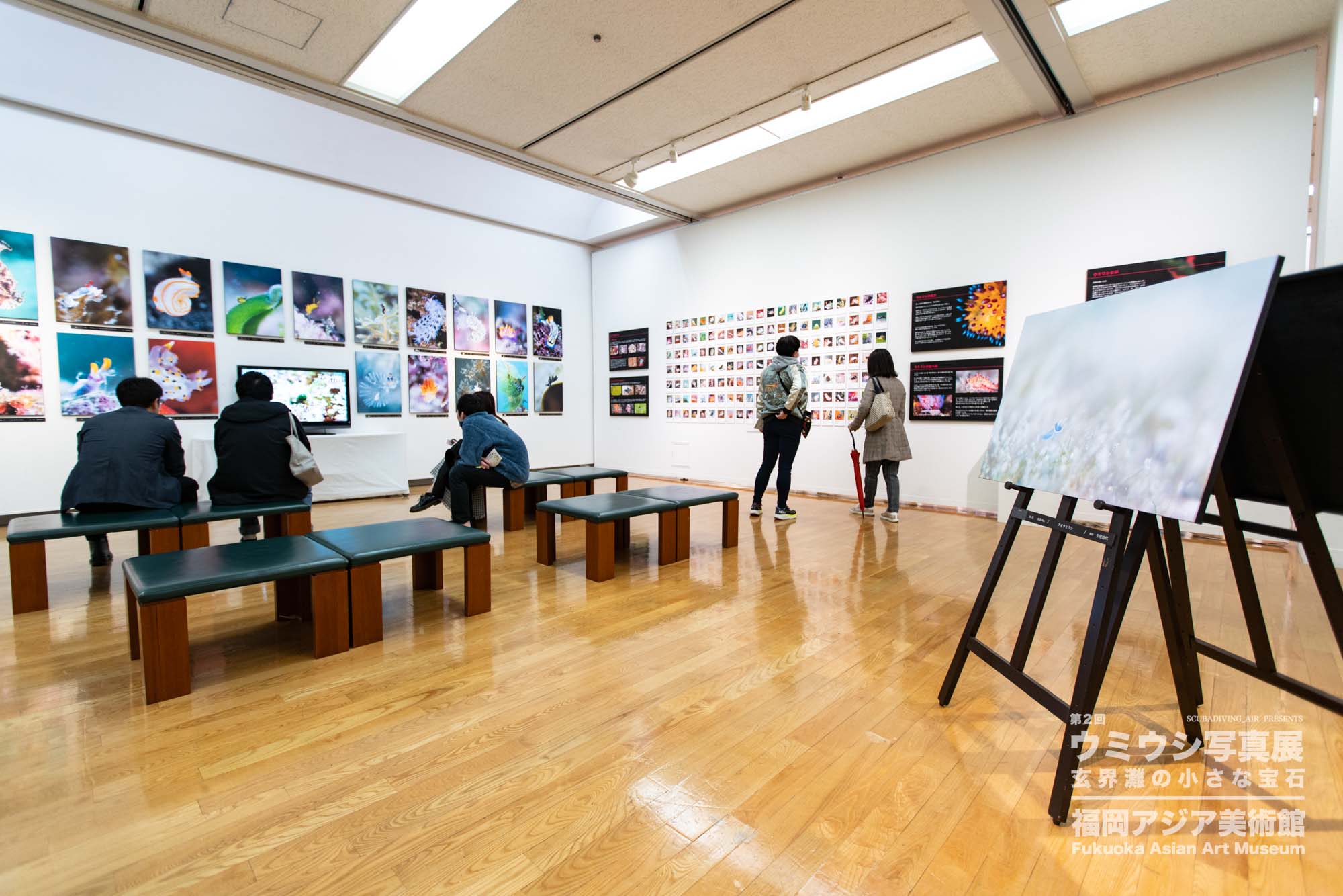 ウミウシ写真展