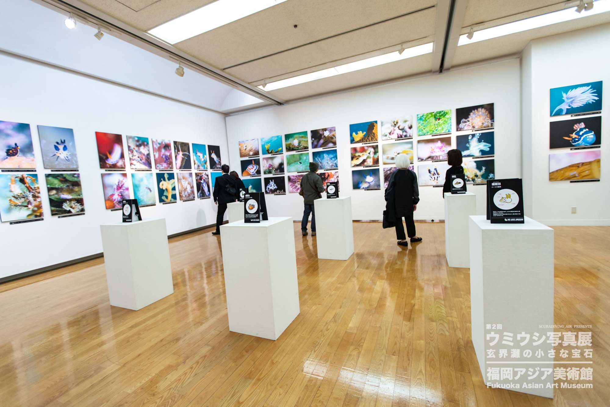 ウミウシ写真展