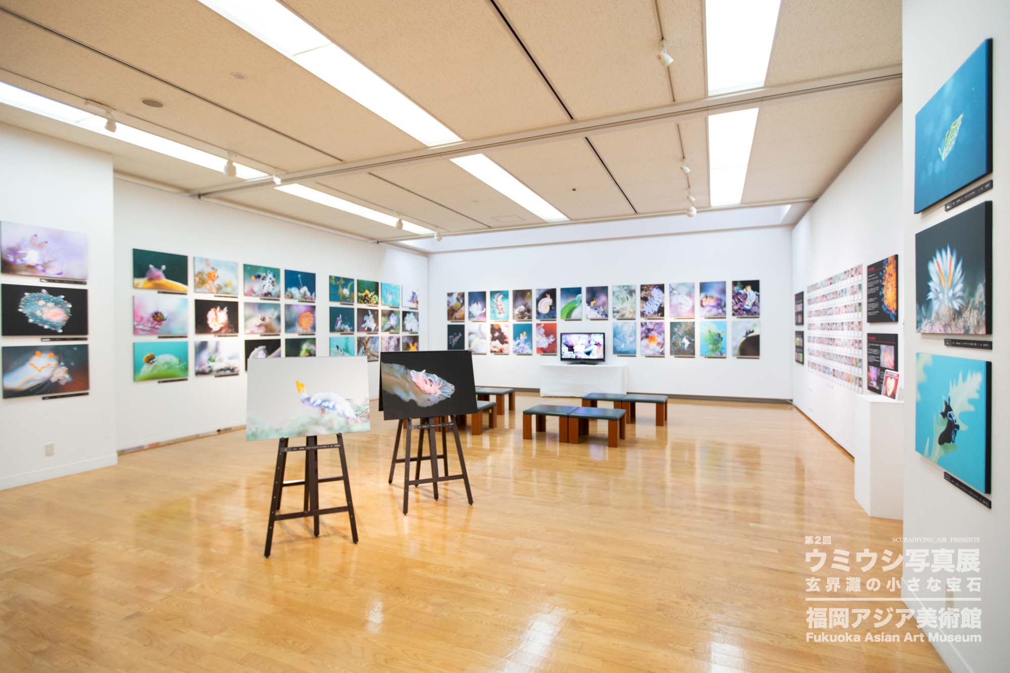 ウミウシ写真展