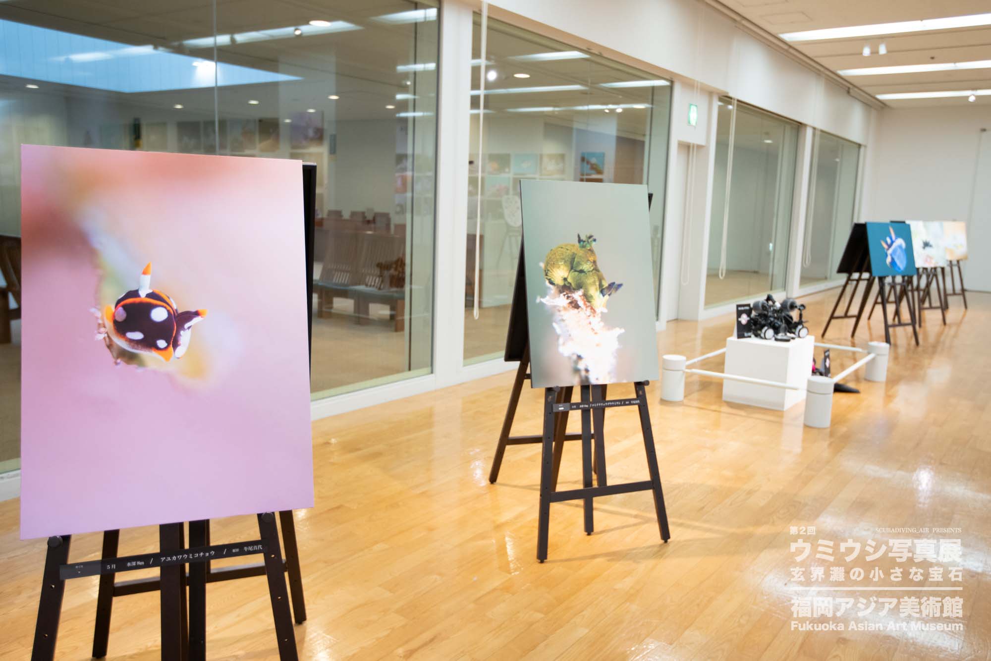 ウミウシ写真展