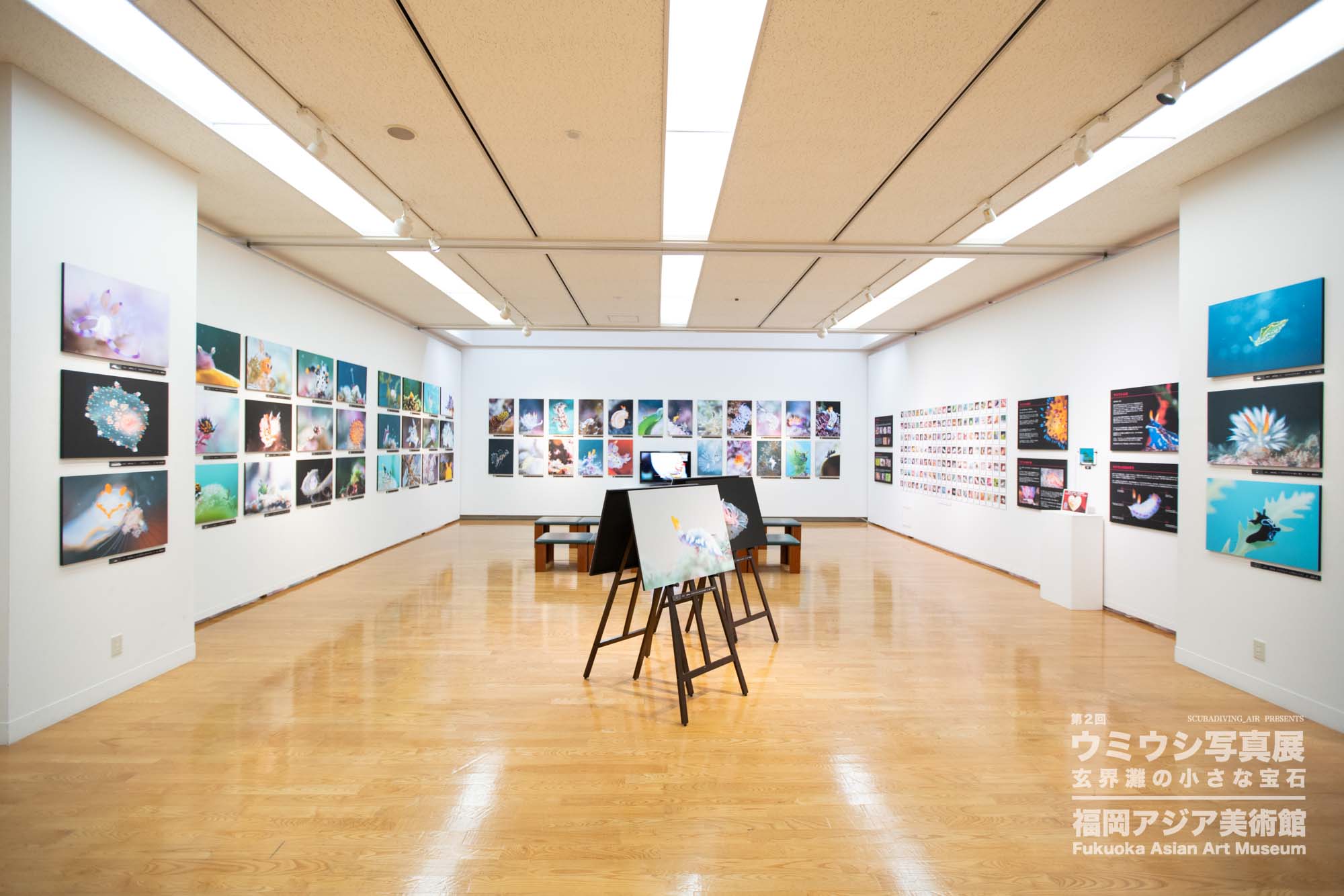 ウミウシ写真展