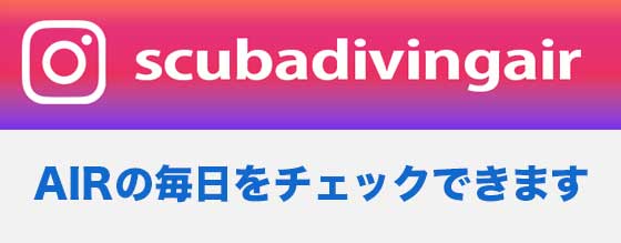 公式インスタグラムへ