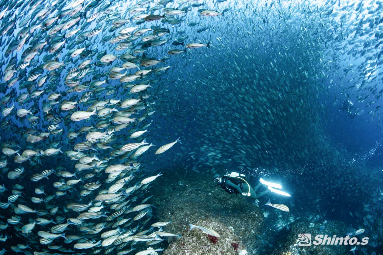 沖ノ島