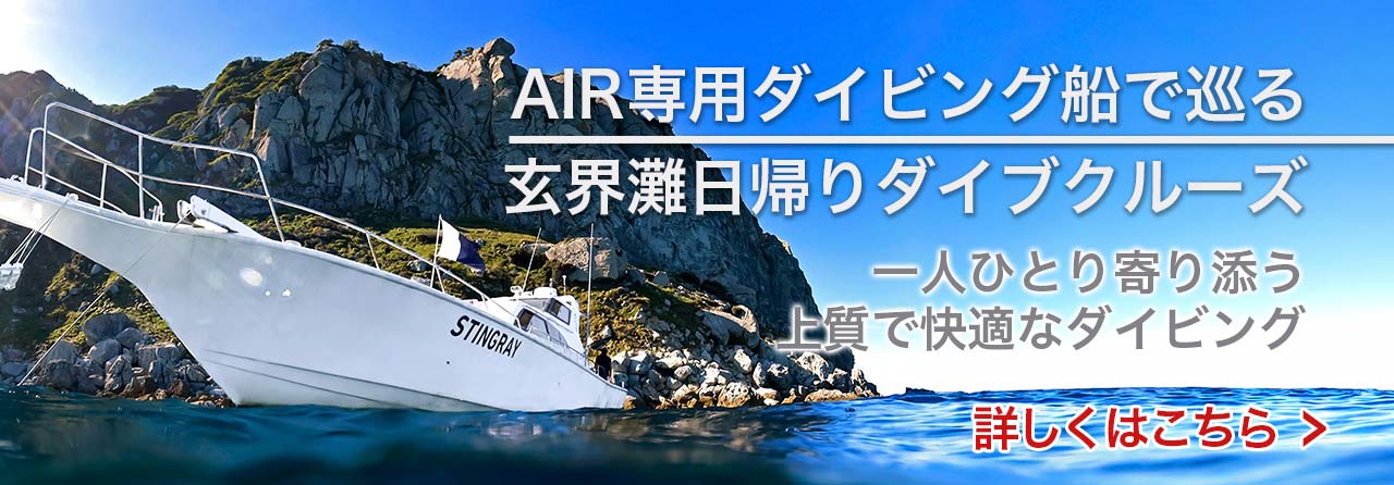 AIR専用ダイビングボートで巡る玄界灘ダイブクルーズ